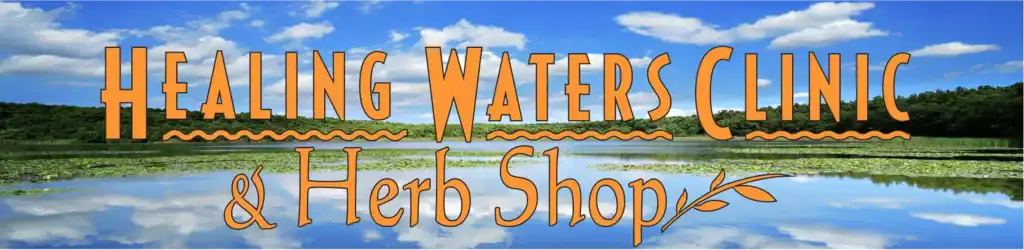 Jesse Britten Tattoo, St. Augustine, FL Healing Waters Clinic & Herb Shop banner featuring a serene lake with lily pads and a blue sky reflection.