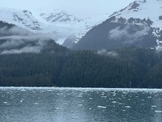 Explore the Prince WIlliam Sound Glacier cruise! This detailed guide covers all the must-see sights, wildlife encounters, & reasons to visit.