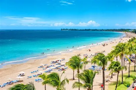 An image of a pristine, hidden beach in Puerto Rico featuring turquoise waters, soft sandy shores, and lush palm trees, perfect for relaxing and exploring secluded coastal spots.