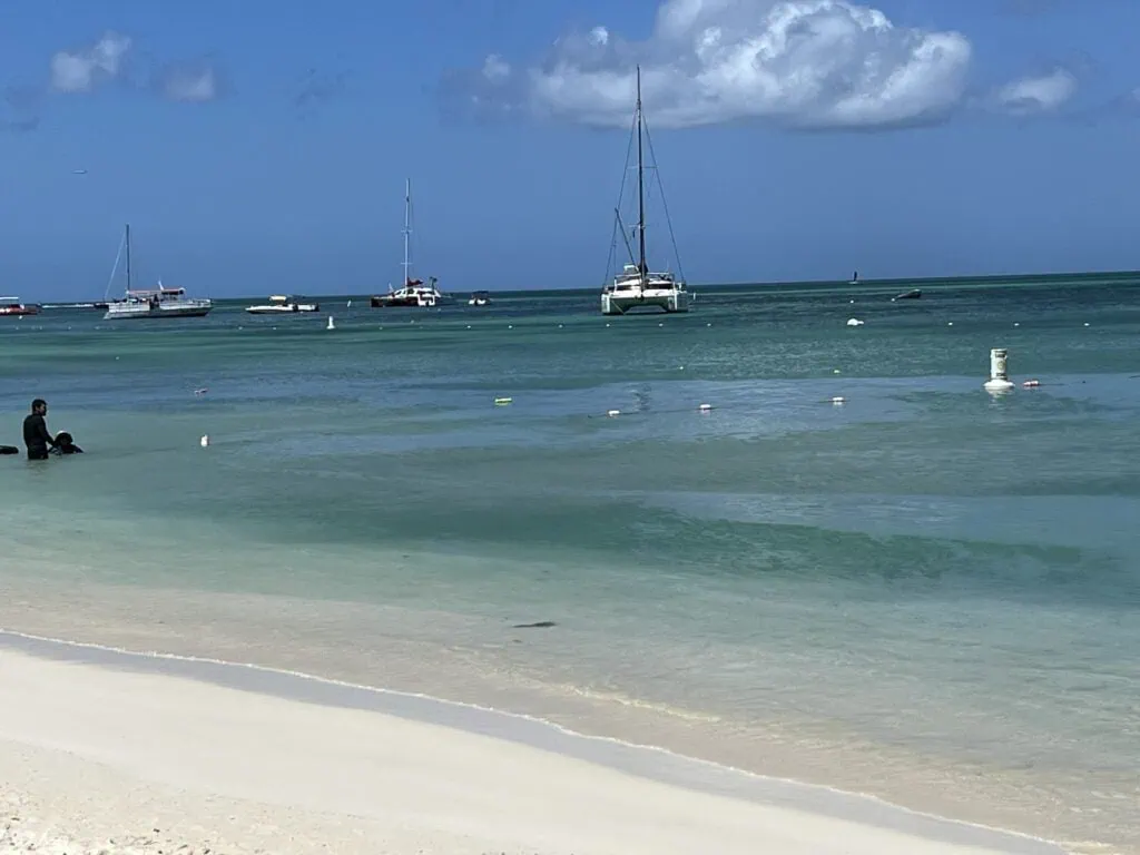 Discover the best beaches in Aruba, from the serene shores of Eagle Beach and the lively vibe of Palm Beach to the tranquil waters of Baby Beach. Explore what makes each beach unique and why Aruba’s coastline is a must-visit for sunseekers and ocean lovers alike.