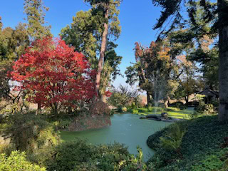 Wondering about the best countries to move to from the USA? Discover top destinations based on firsthand travel experiences.