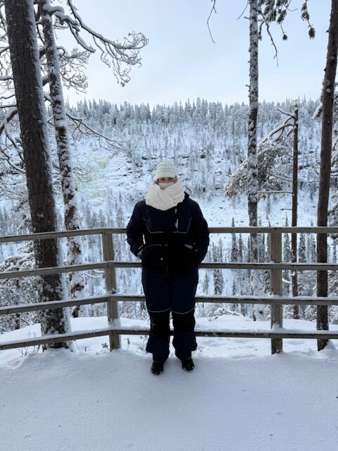 Discover things to do in Rovaniemi from snowmobile excursions and reindeer rides at Santa Claus Village to chasing the Northern Lights.