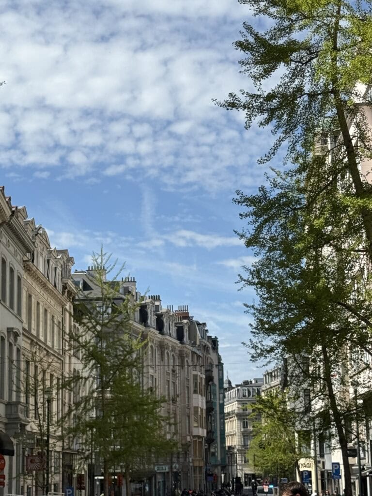 Paris street view with classic architecture, lush green trees, and a bright blue sky with scattered clouds, capturing the charm of a European cityscape.