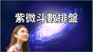 紫微斗數排盤