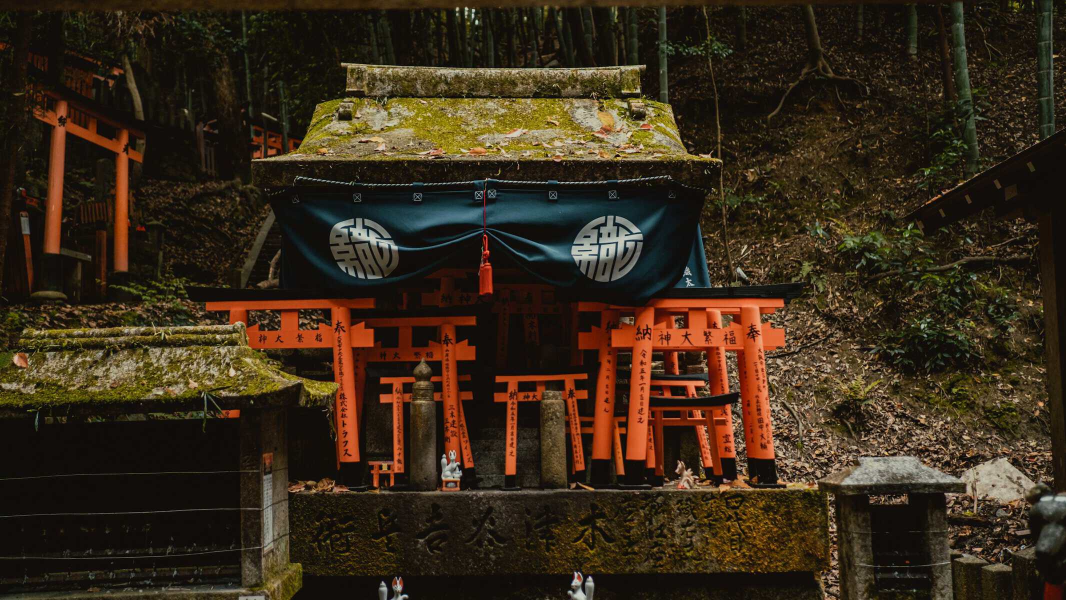 綠意中的日本神社建築,日本姻緣神社指南特色圖片