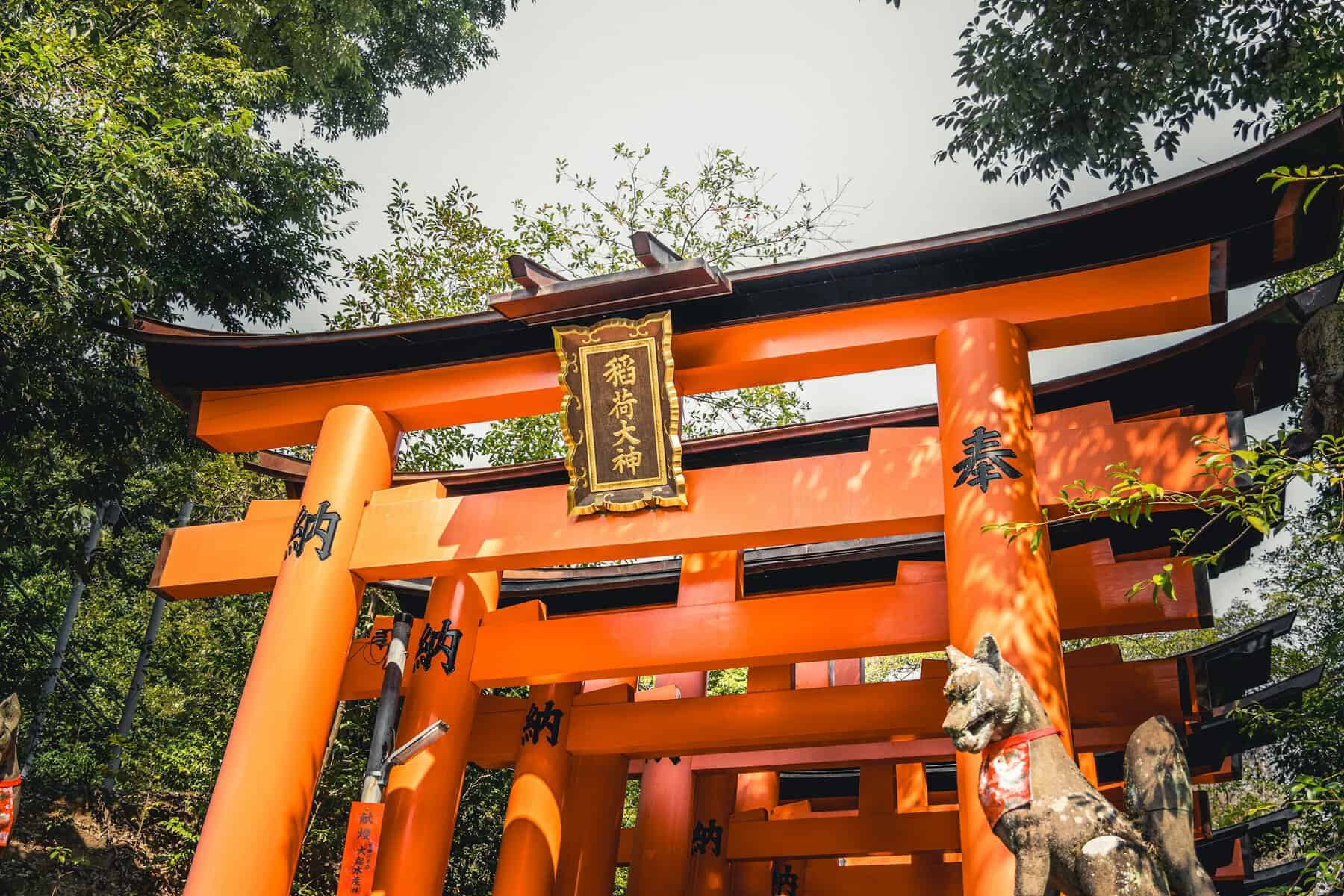 日本神社鳥居與自然風景,神社參拜禮儀指南特色圖片