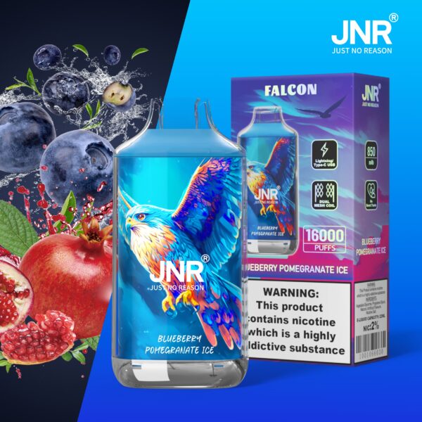 JNR Falcon 16000 Blueberry Pomegranate Ice