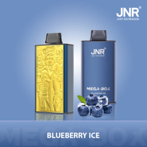 JNR Mega Box 25000 Blueberry Ice