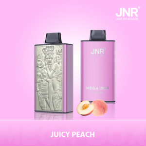JNR Mega Box 25000 Juicy Peach