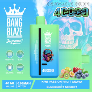 Bang Blaze 40000 Kiwi Passion Fruit Guava/Blueberry Cherry