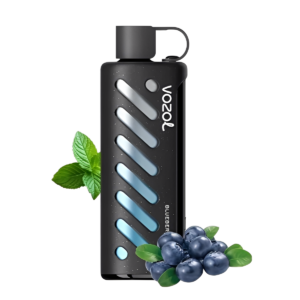 Vozol Gear Shisha 25000 Berry Mint