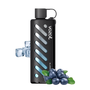 Vozol Gear Shisha 25000 Blueberry Ice