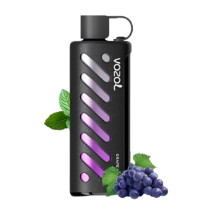Vozol Gear Shisha 25000 Grape Mint