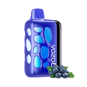 Vozol Rave 40000 Blueberry Watermelon