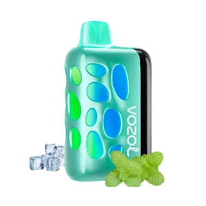 Vozol Rave 40000 Cool Mint