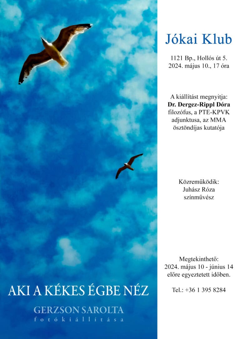 AKI A KÉKES ÉGBE NÉZ – Kiállítás