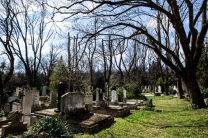 Jókai Nyugdíjasklub – séta a Farkasréti temetőben