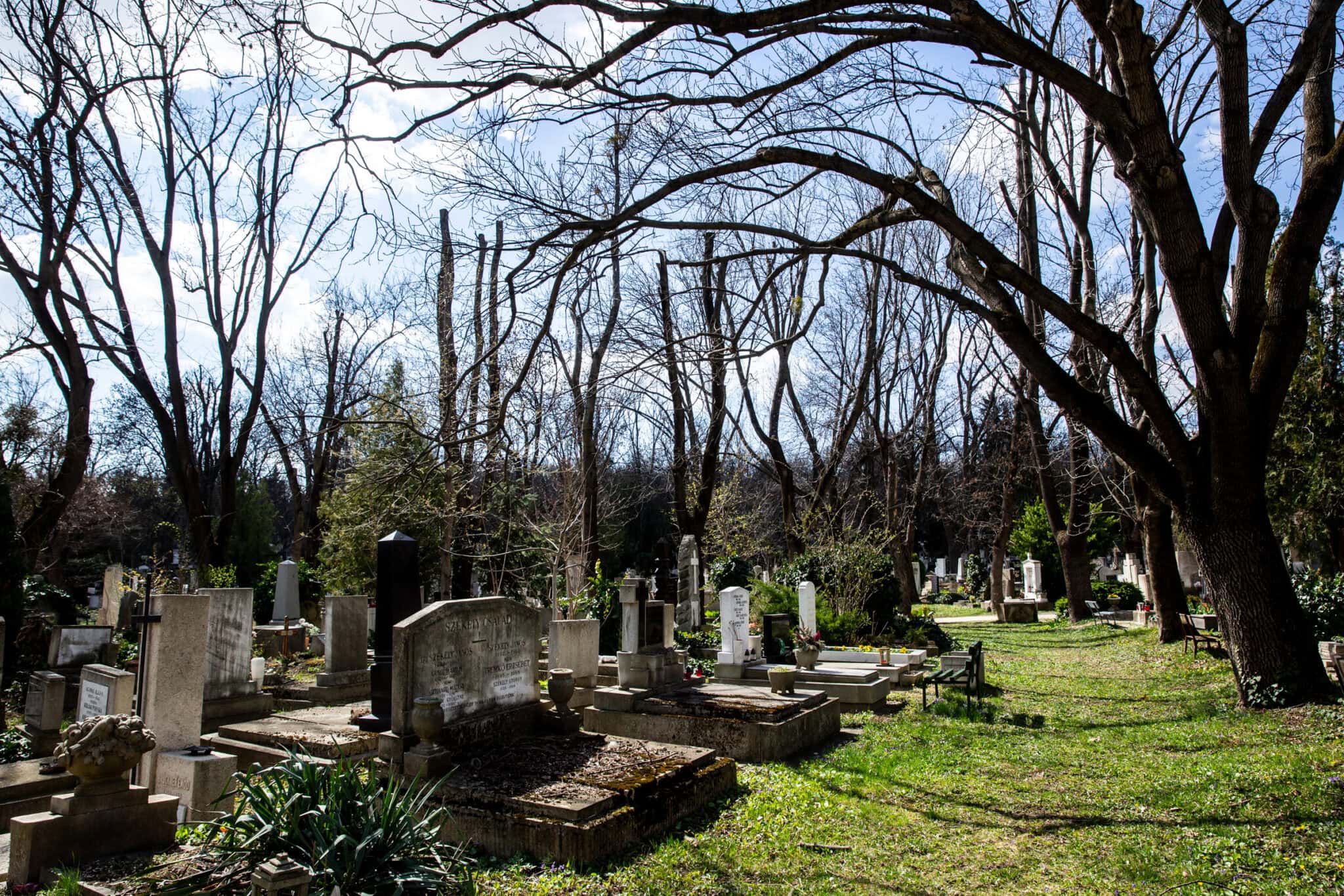 Jókai Nyugdíjasklub – séta a Farkasréti temetőben