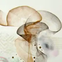 Érzésből – lendületből