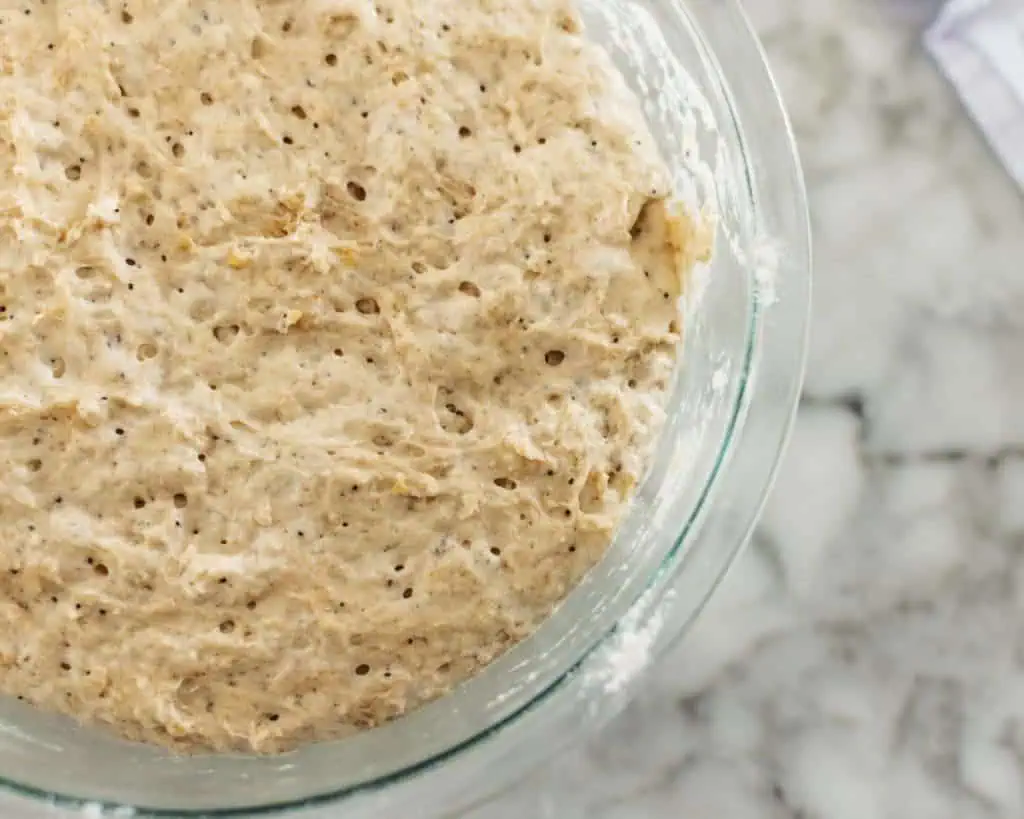 fluffy rye bread dough risen in bowl.