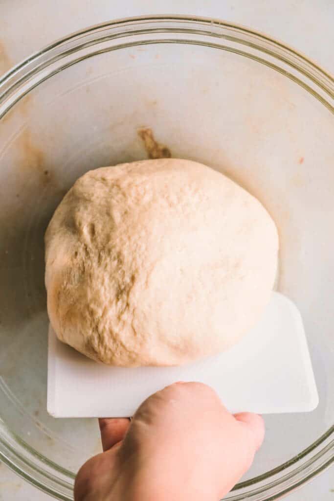 Dough ball transfered to a greased bowl to rise.