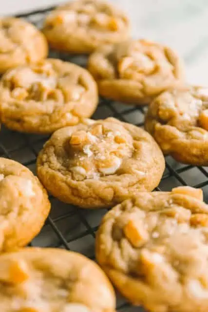 close up shot of white chocolate macadamia nut cookies