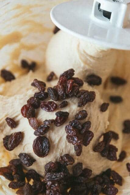 Raisins studding dough being kneaded for cinnamon swirl bread