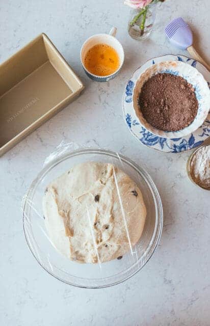 freshly proofed bread dough with raisins