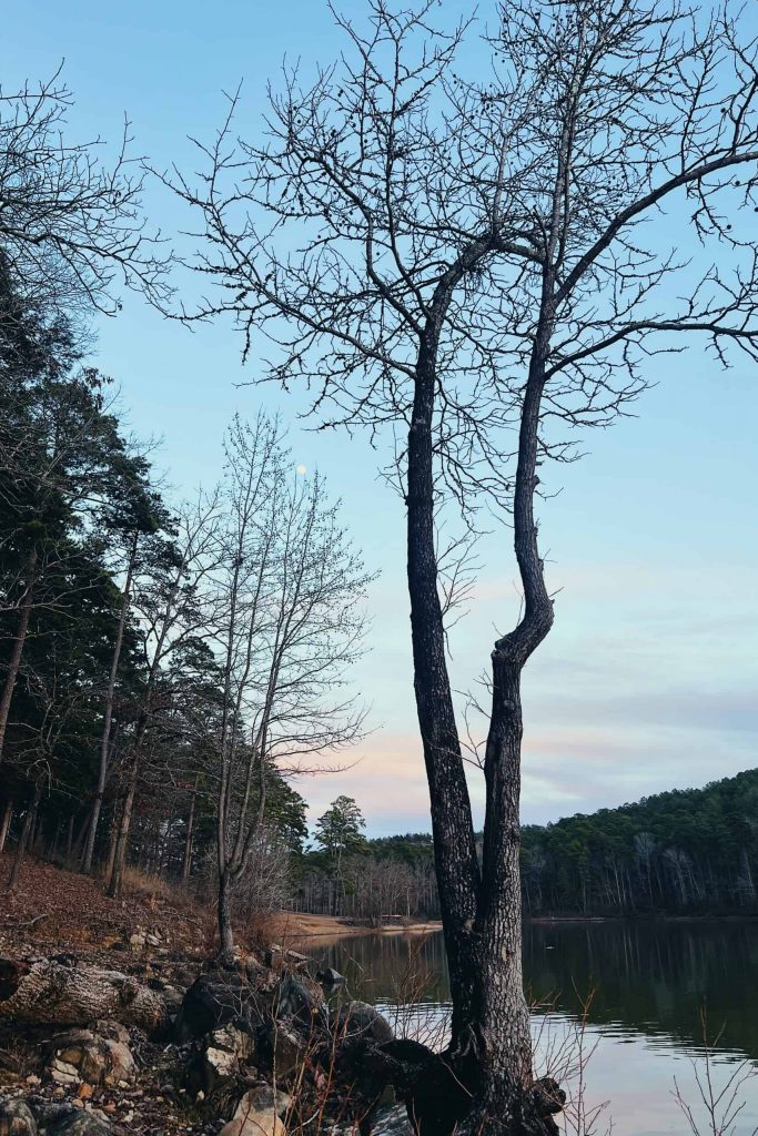 Gentle January
