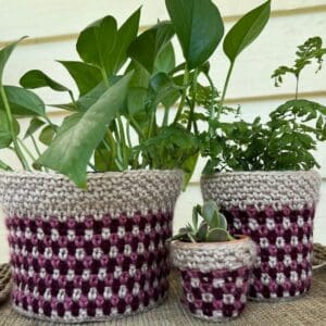 Indoor plants in handmade knitted pots for home decor.