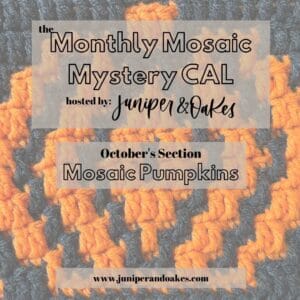 Crochet mosaic pumpkin pattern for October by Juniper & Oakes.