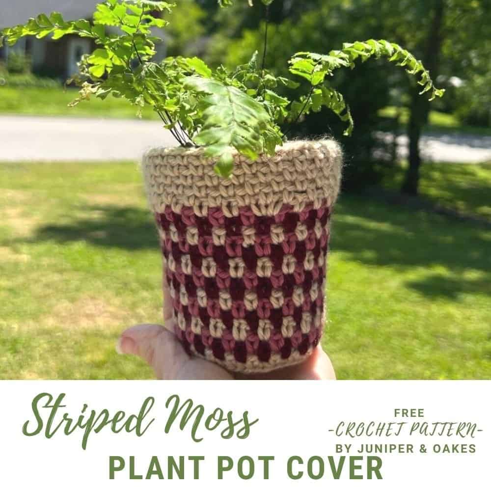 Striped crochet plant pot cover displayed covering a small fern.