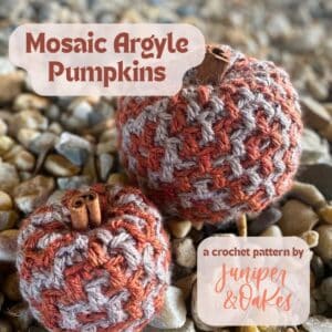 Handcrafted mosaic argyle pumpkins with crochet pattern, perfect for fall decor.