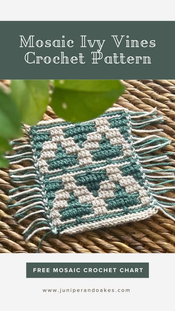Mosaic Crochet Ivy Leaf with Vines Pattern - Pin