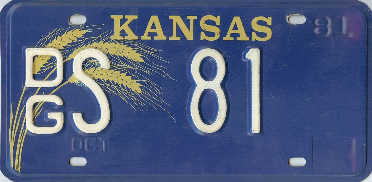 1981 Kansas Car License Plate #DGS-81