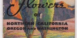 1935 Wild Flowers of Northern California Oregon and Washington Richfield Oil Company