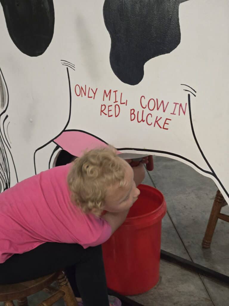 child milking a "cow" at Curious Minds Discovery Zone in Parsons Kansas