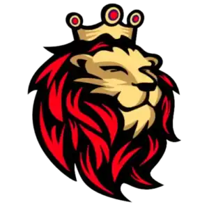 logo-dt
