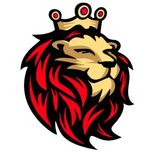 logo-dt