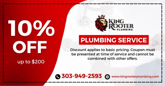 King Rooter Coupons - Plumbing Services