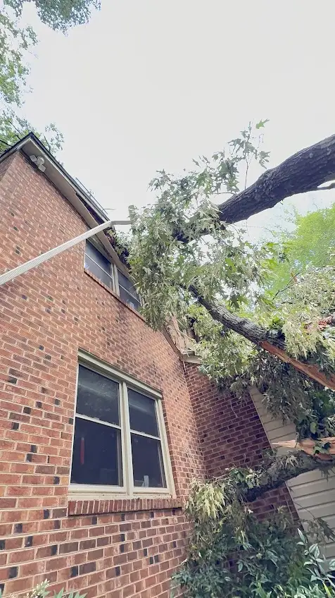 A massive fallen tree resting heavily on the roof and gutter line of a two-story residential red brick house in Gainesville, VA.