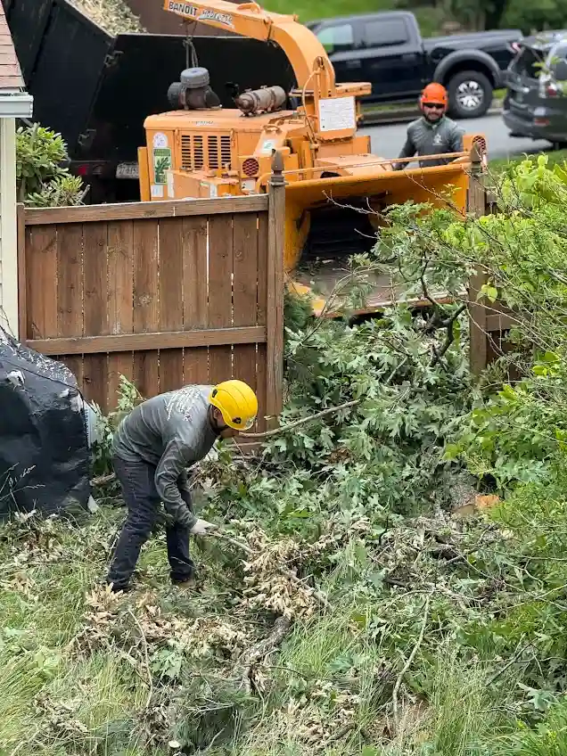 King Tree Services emergency crew member in professional PPE feeding heavy tree debris into an industrial wood chipper during a residential storm damage cleanup in Centreville, VA.