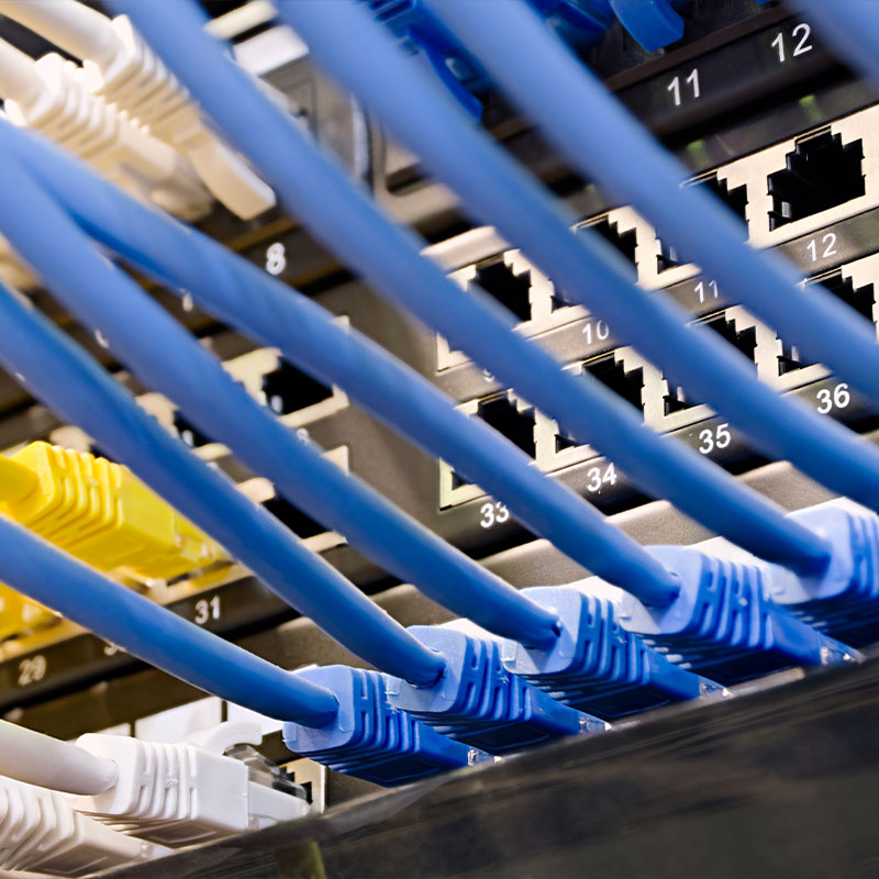Close-up of a network switch with blue Ethernet cables connected.