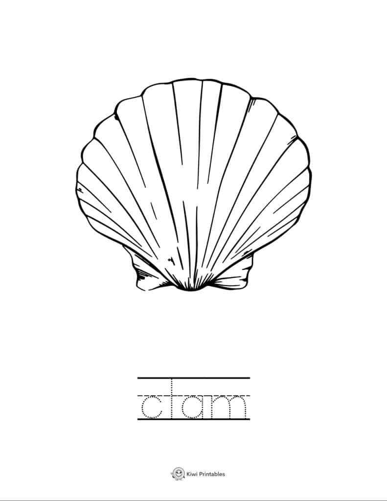 coloring-page-sea-animals-15