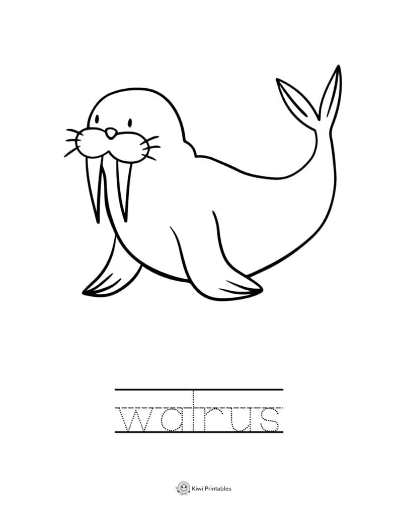 coloring-page-sea-animals-16