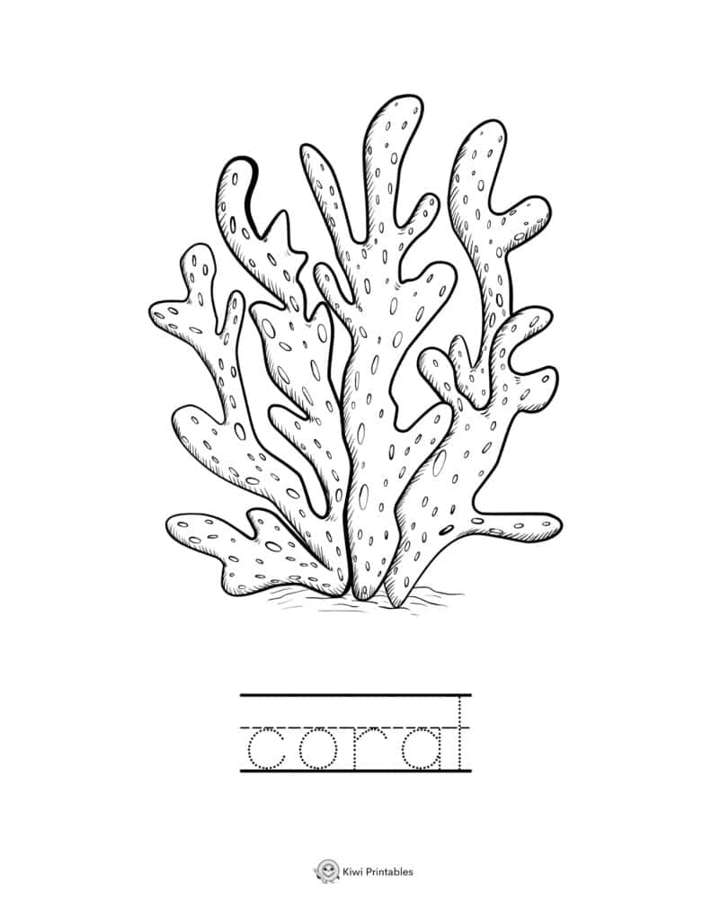 coloring-page-sea-animals-19