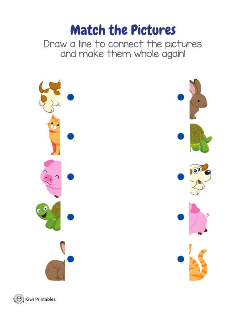 match-same-objects-05