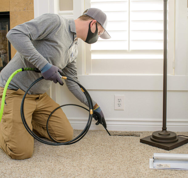 Removing mold from the HVAC Unit