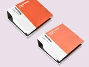 Pantone Solid chips GP1606B by Kolorguide.com