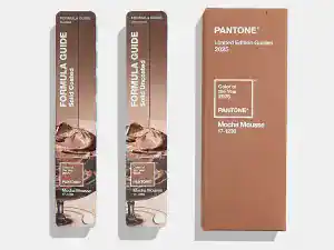Pantone Color of the Year 2025